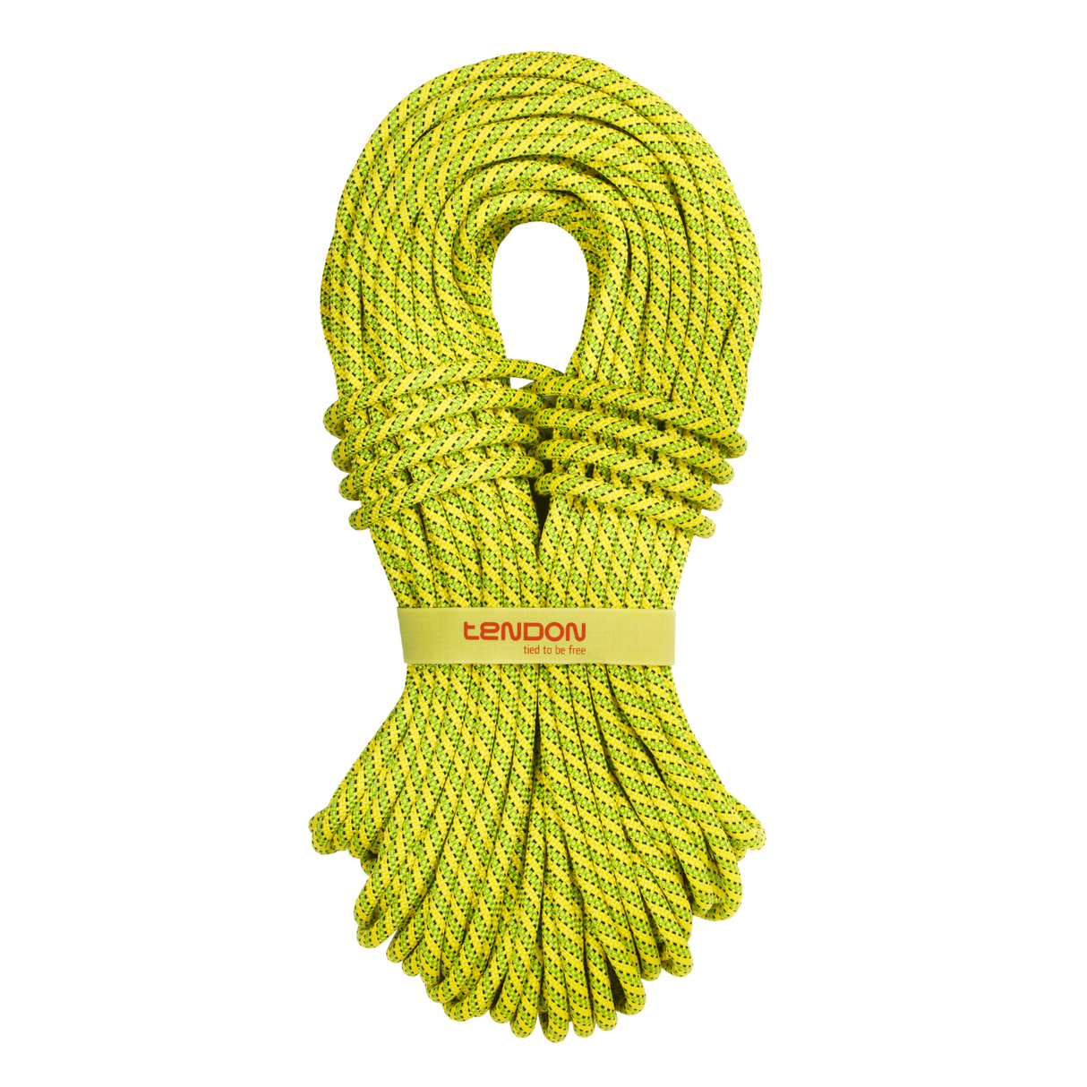 Lina Tendon Ambition 9.8