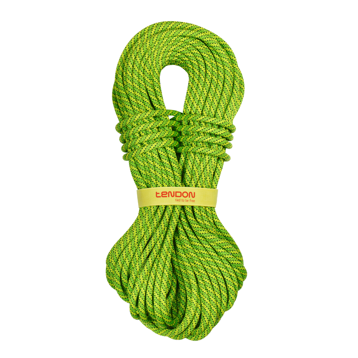 Lina Tendon Ambition 9.8