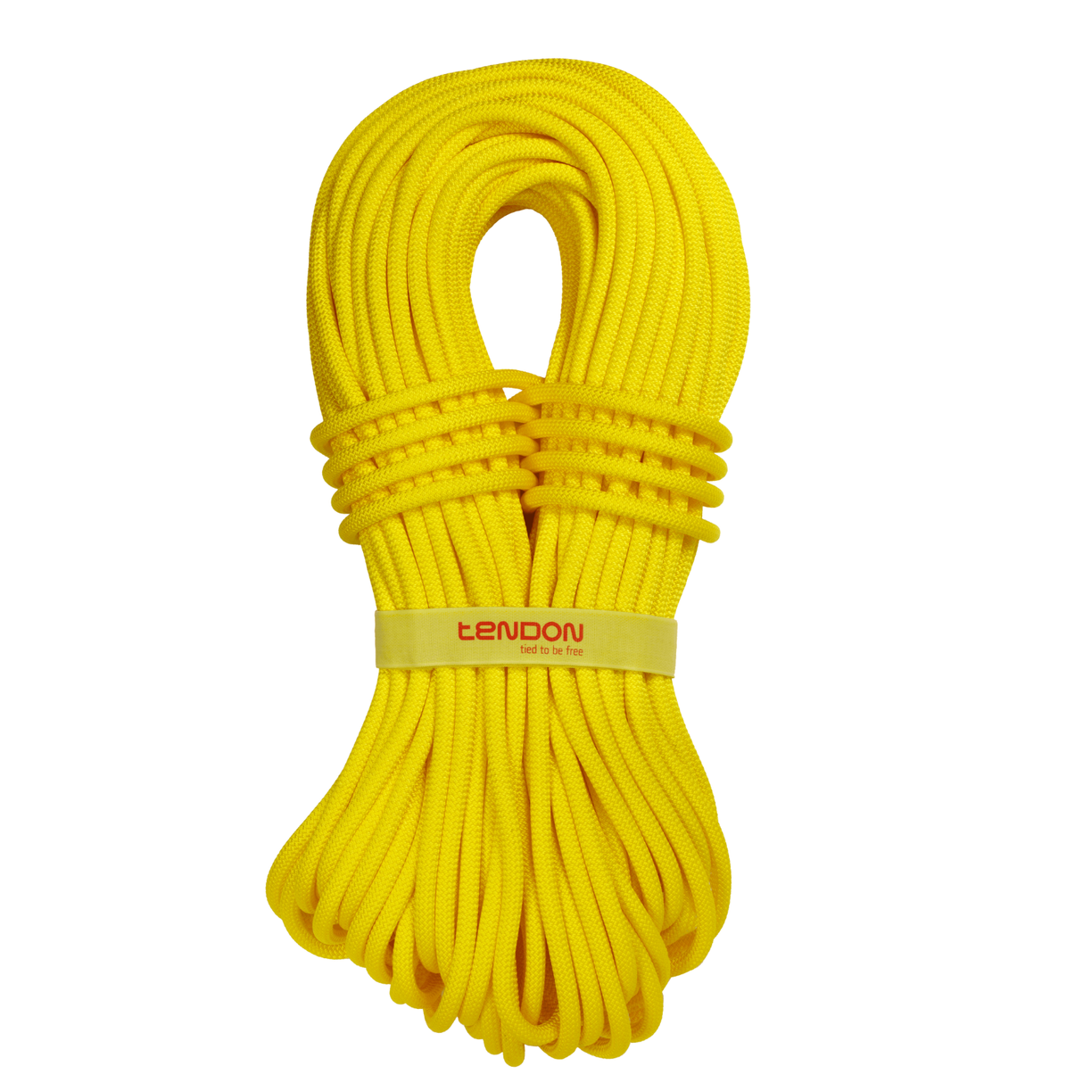 Lina Tendon Ambition 9.8