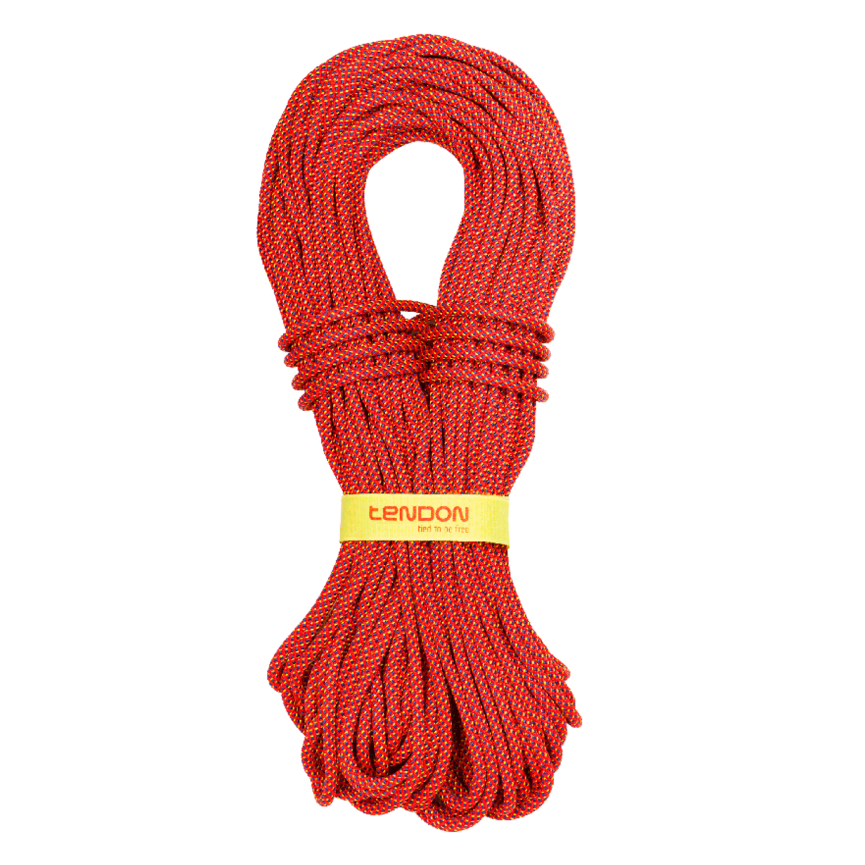 Lina Tendon Alpine 7.9
