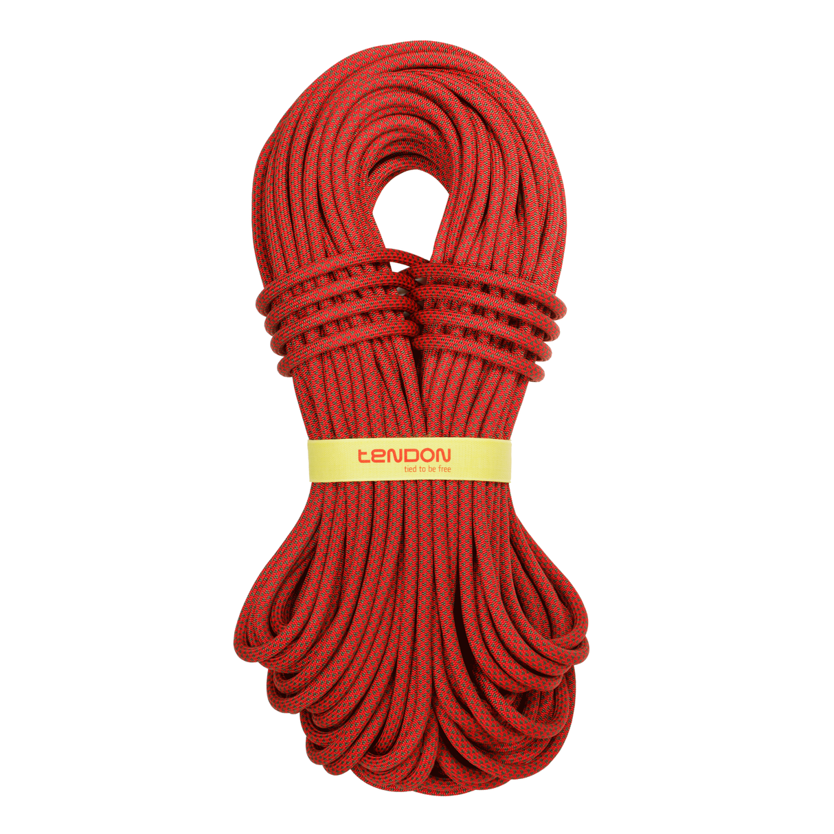 Lina Tendon Ambition 10.0