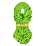 Lina Tendon Ambition 10.5