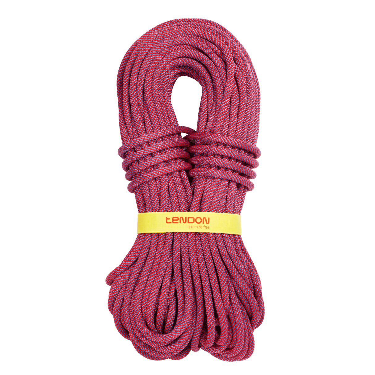 Lina Tendon Ambition 10.5