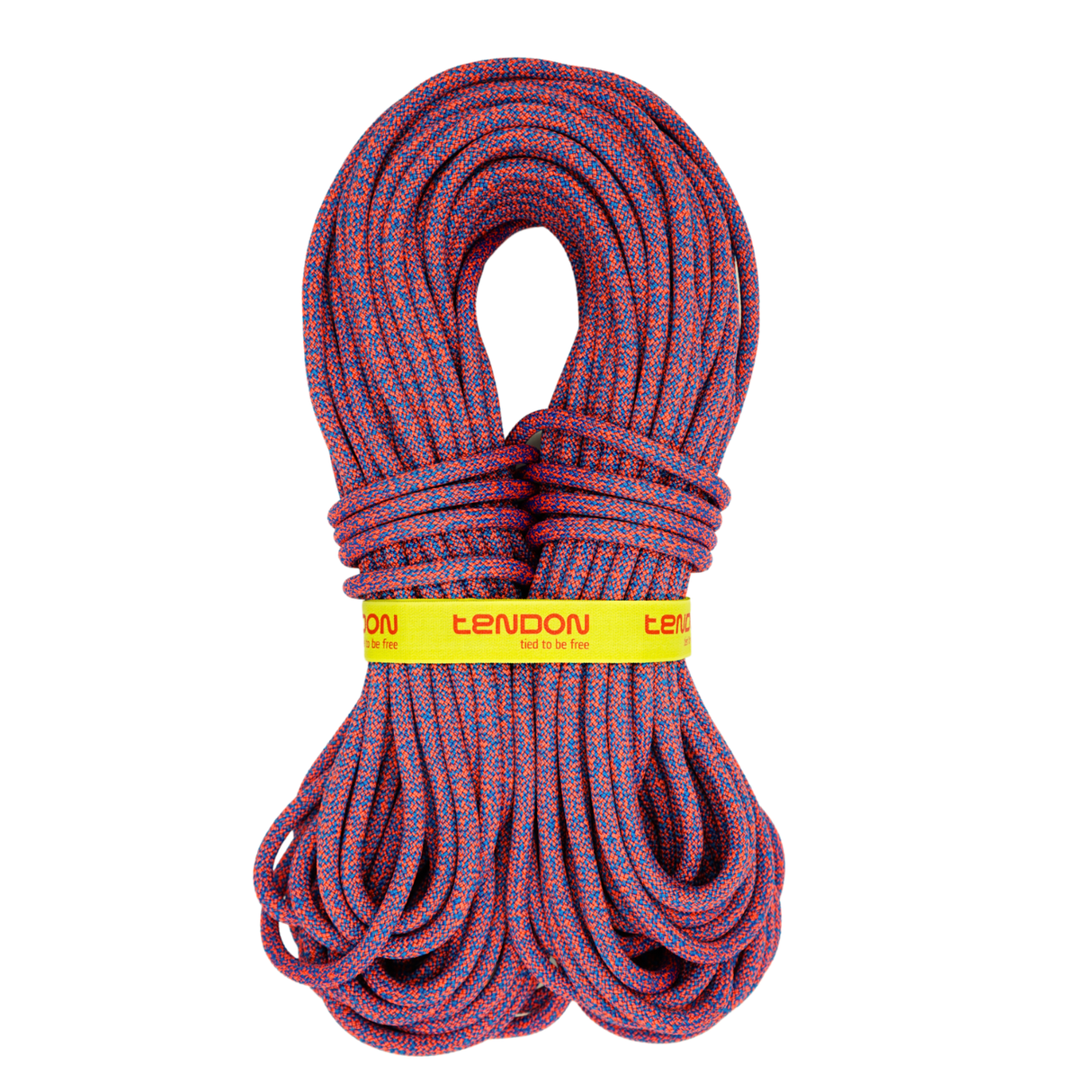 TENDON Anniversal 9.5 - NOWOŚĆ