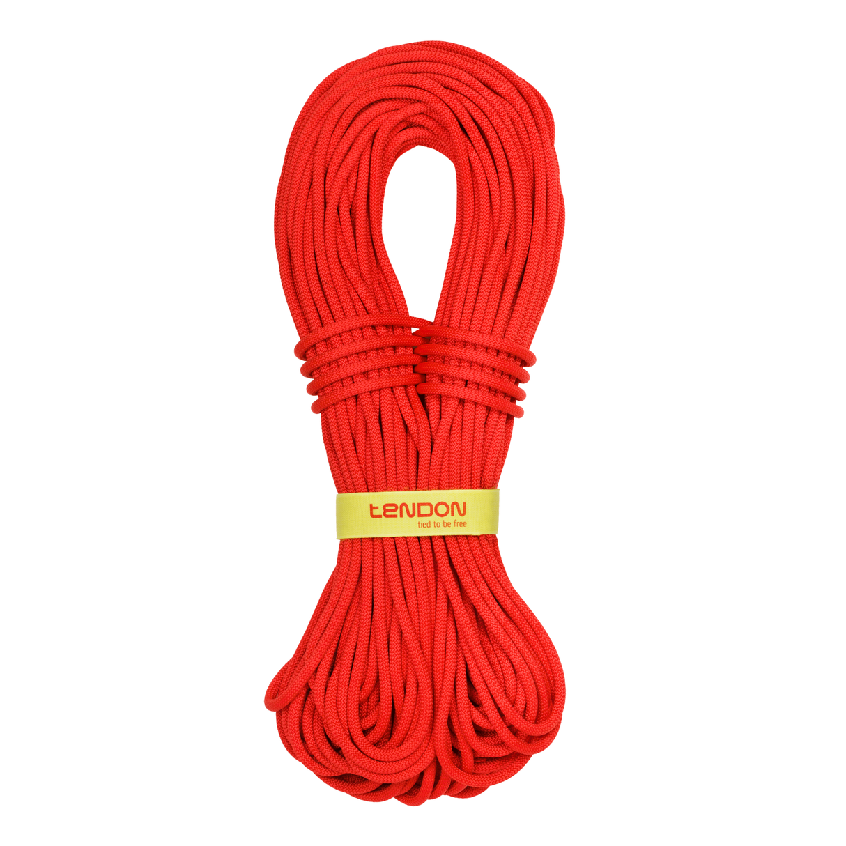 Lina Tendon Master 7.0