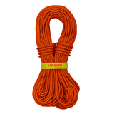 Lina Tendon Master PRO 7.6